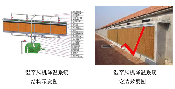 濕簾風(fēng)機(jī)降溫系統(tǒng)