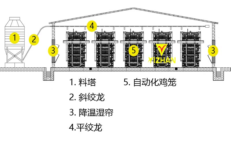 雞舍設計